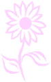wp8af9c655.png